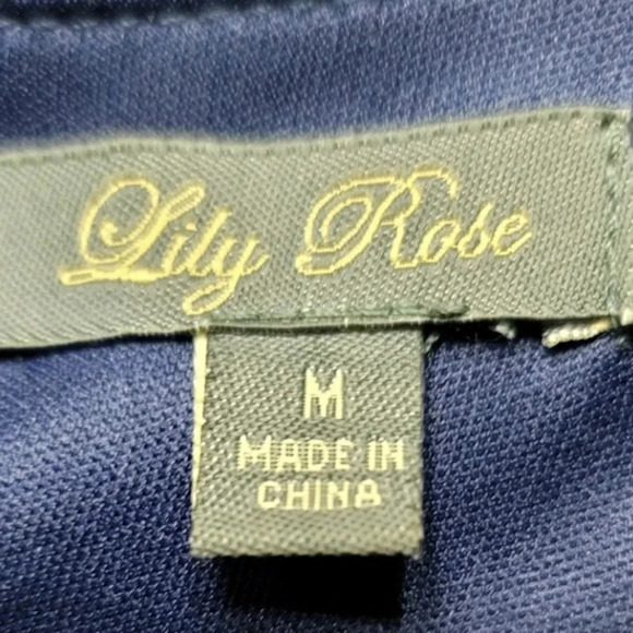 Lily Rose Dress Size Medium - Picture 5 of 7